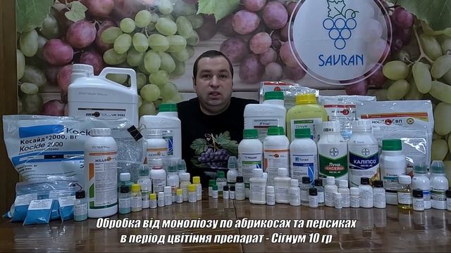 Схема обробки саду 2025. Захистіть свій врожай!