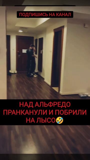 Над Альфредо жестко пошутили и налысо подстригли🤣 #shorts #альфредо #пираев #попмма смотреть онлайн