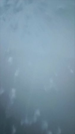 13 мая снег ❄ Сибирь.