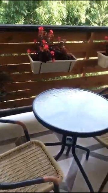 Терраса в отеле Гнездо Белой совы в Гаграх Абхазия смотреть онлайн