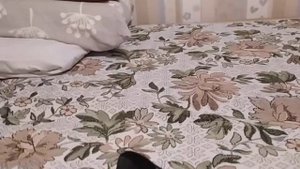 Распаковка — Удилище Shimano Catana FX