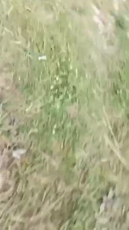 Ребята мы щуку поймали 😂