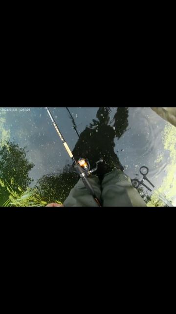 Поймал и отпустил.#щука #щуканаспиннинг #ловлящуки #ры смотреть онлайн