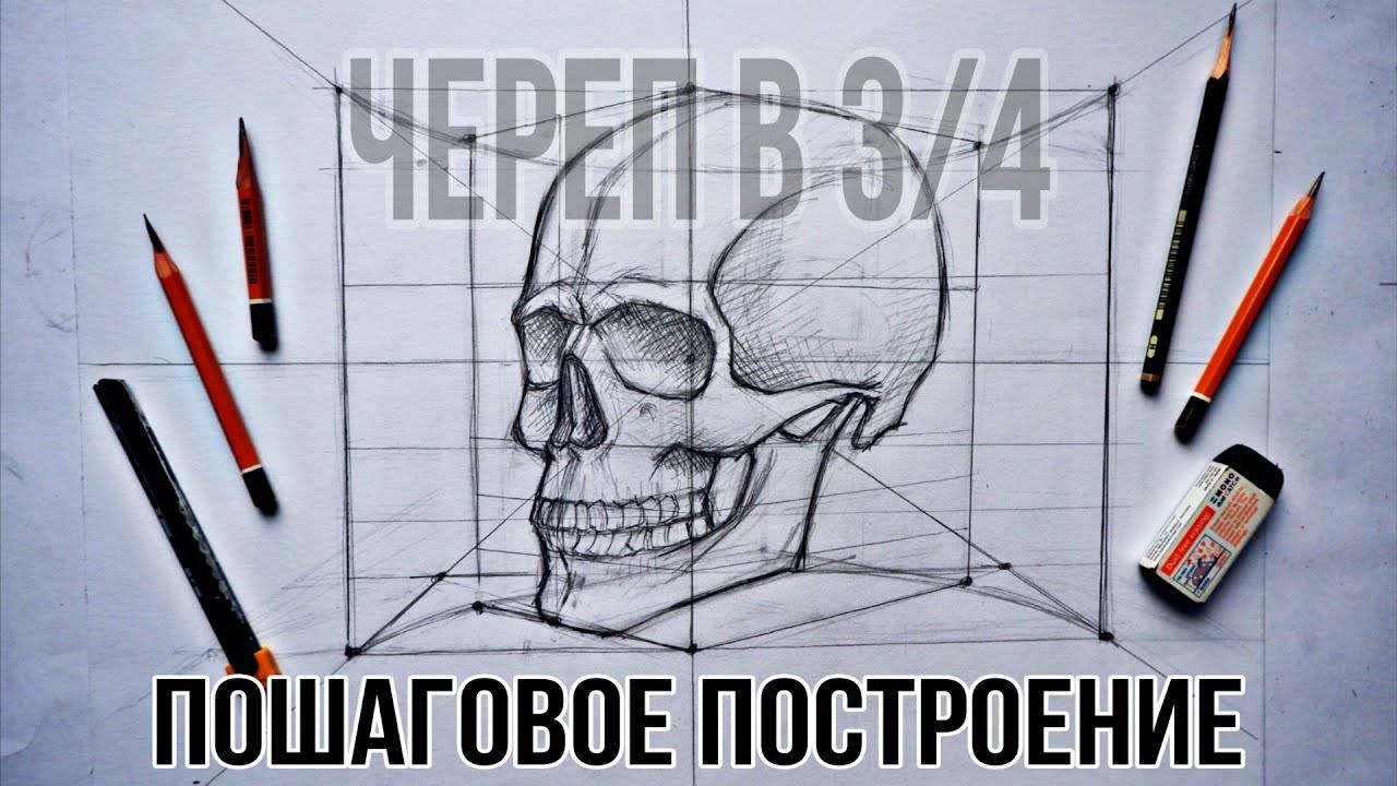 Как нарисовать череп? Секреты профессиональных художников раскрыты!