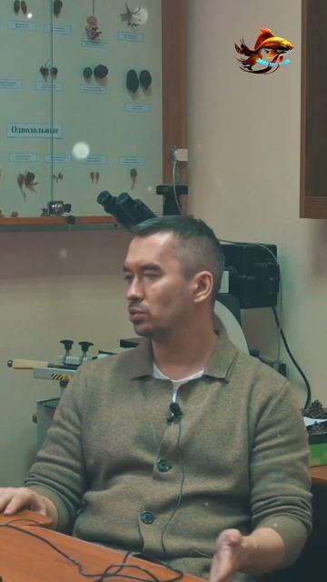 Для этой рыбы чистая и холодная вода это хорошо Рыбалк смотреть онлайн