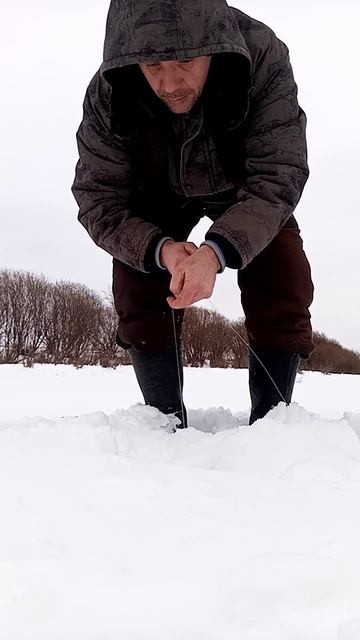 #shorts Щука на жерлицу, трофейная #рыбалка #fishing #живец #зи смотреть онлайн