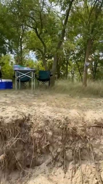 Рыбалка в Астрахани .сазан #врек #астраханскаяобласть смотреть онлайн