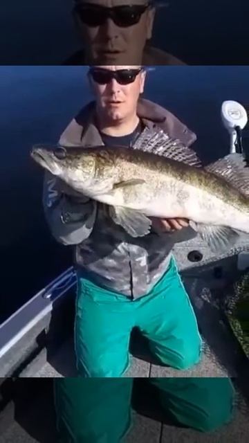 11.06.20г. Трофей дня. Клевое местечко. Камское устье смотреть онлайн