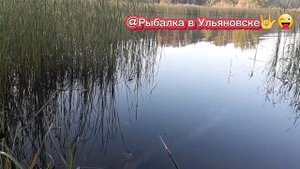 Рыбалка на Черемшане 🎣(2 день)