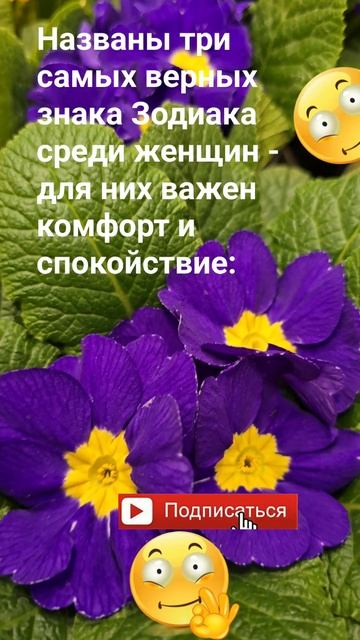 Названы три самых верных знака Зодиака среди женщин - ?