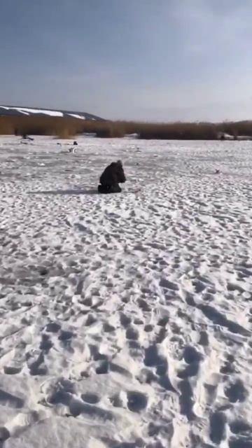 #рекомендации #fishing #рыбалка #просторыбалка #активныйо? смотреть онлайн