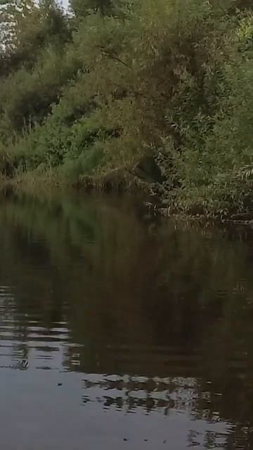 Зарисовка бойтесь своих желаний или почему нужно отпу смотреть онлайн