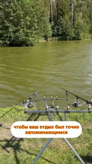 Комфортабельная рыбалка в Сафари-парке смотреть онлайн