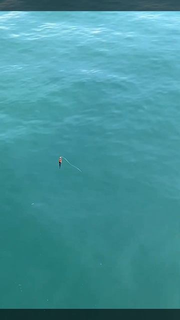 Антистресс: Рыбалка в Крыму. #рыбалка #крым #рыбалка2025 # смотреть онлайн