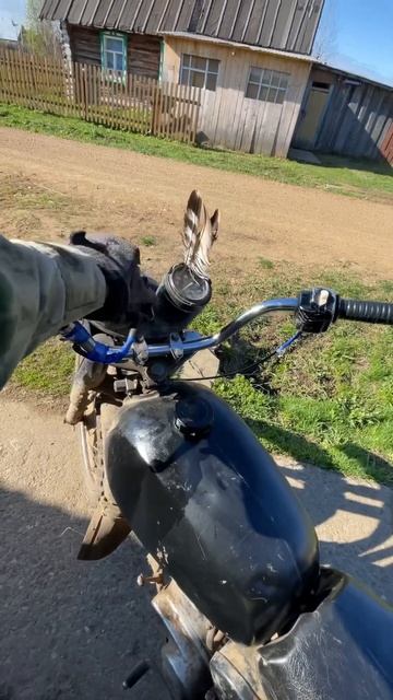 В путь дорогу 😁На реку ,за хариусом 😎Минск #охота #fishi смотреть онлайн