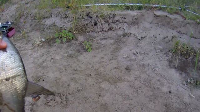 рыбалка на ахтубе, новое место. смотреть онлайн