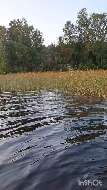 Один день из жизни рыбака тестирую силиконовые приман смотреть онлайн