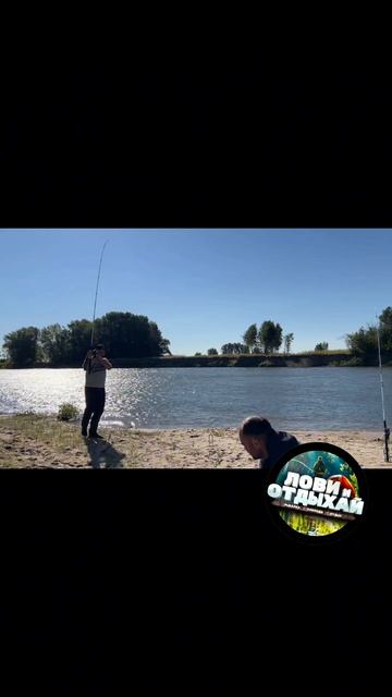 Отдых на р.Ахтуба 🤪 Мини обзор #shorts #shortvideo #ЛОВИиОТДЫХ? смотреть онлайн