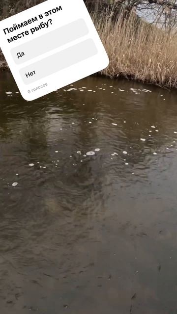 Место для рыбалки смотреть онлайн