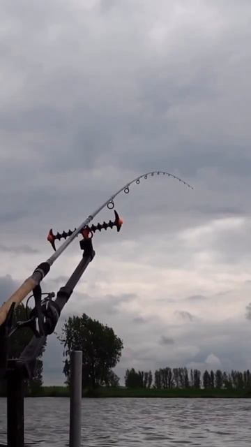 Сидит? #рыбак #рыбалка #отдых #fishing #youtube #многорыбы #покл смотреть онлайн