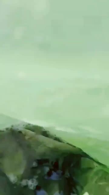 долгожданная рыбалка#рыба#вода#рекомендации #топ смотреть онлайн