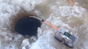 Электронная удочка