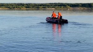 ▶️РЫБАЛКА НА СЕВЕРНОЙ ДВИНЕ.#троллинг#спинодонки#про