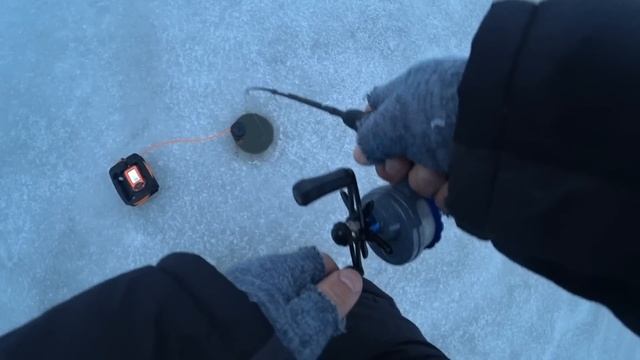 Ловля СУДАКА по лещу и ЛЕЩА по судаку! Рыбалка на Оке! З смотреть онлайн