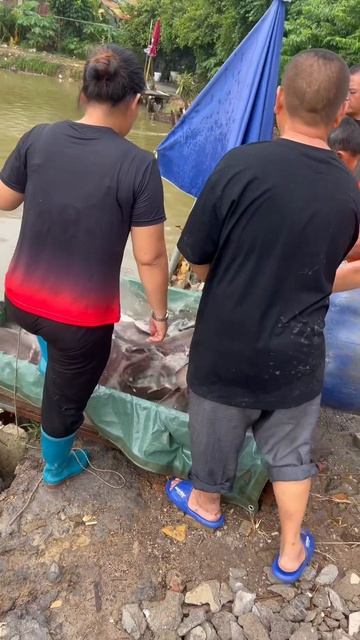 После они сидели и ловили ее обратно 🤷♂️ #китай #ры? смотреть онлайн