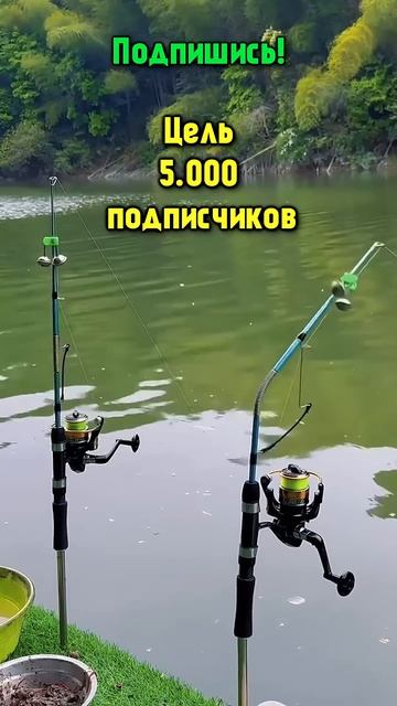 Рыбалка КлЁвое Настроение #рыбалка #fishing #рыбалканафид смотреть онлайн
