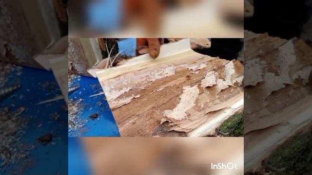 ЛУЧШИЙ ПОПУЛЯРНЫЙ СКОРОСТНОЙ ДРОВОКОЛ колун 2.2-7.5 квтх смотреть онлайн