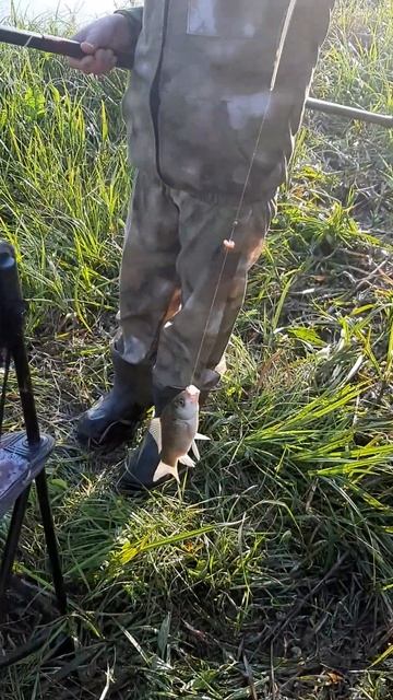 рыбалка дело клевое смотреть онлайн