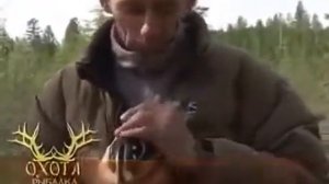 ОХОТА НА МЕДВЕДЯ  Опасная охота, в просторах Крайнего ?