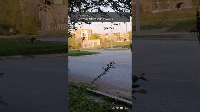 Прямая трансляция fishing и мы ! смотреть онлайн