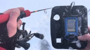 ТРУДОВАЯ ЗИМНЯЯ РЫБАЛКА НА СУДАКА!(Канонерский остров