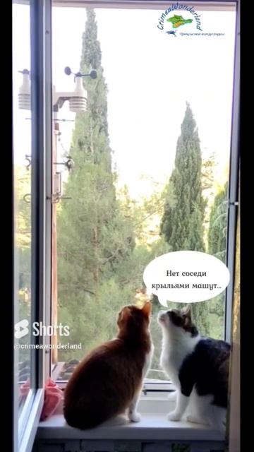 Сегодня прекрасная погода 28  море 24  легкий бриз