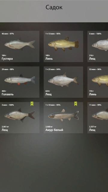 РУССКАЯ РЫБАЛКА 4 смотреть онлайн