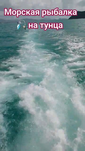 #тайланд морская рыбалка 🎣