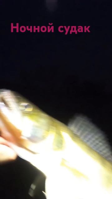 #ночнойсудак #спиннинг смотреть онлайн