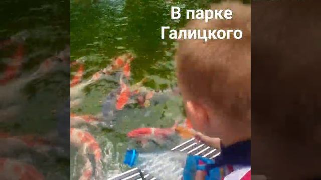 #напрогулке #лето #парк #паркгалицкого #краснодар