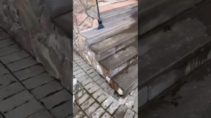 Не делай Керамогранит на крыльцо!