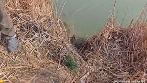 Зимняя рыбалка с братьями Дагестан средний канал