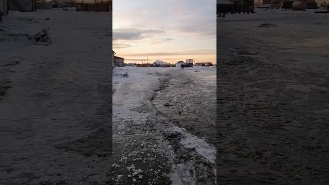 Жизнь, как она есть. Камчатка. 27.11.23г. Утро после шторма. смотреть онлайн