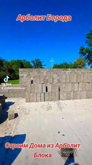 дом из арболитовых блоков