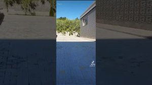 Абхазия. город Новый Афон. Отель Родина - территория ок