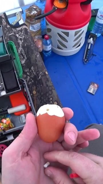 КАК НАСАДИТЬ ЯЙЦО🥚 #насадканалеща #зимняяловлярыбы #?