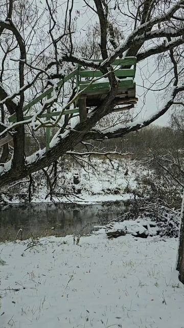 Пункт наблюдения за рыбой 😃 Улов будет точно 🤣 #рыба? смотреть онлайн