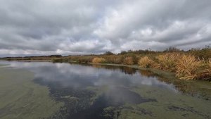 Река Цна. Джеркбейты.