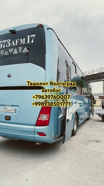 Ташкент Волгоград автобус #сочи #анапа #ростовнадону #? смотреть онлайн