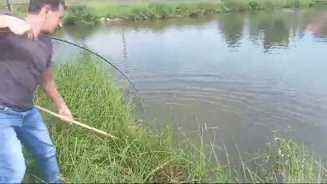 Светлые Горы Карп2 24.08.2024г. смотреть онлайн